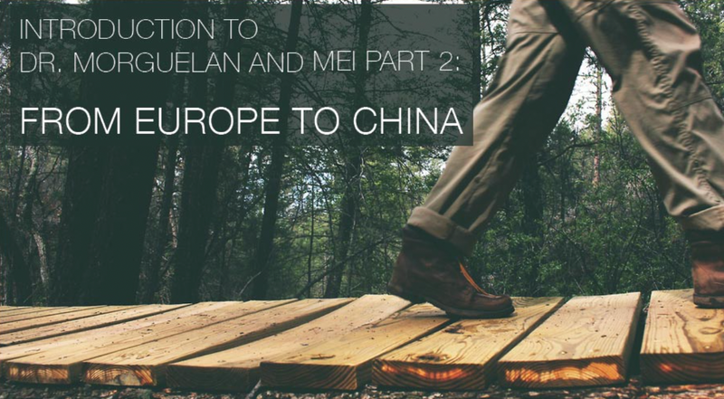 Introduction to Dr. Morguelan and MEI Part 2: From Europe to China